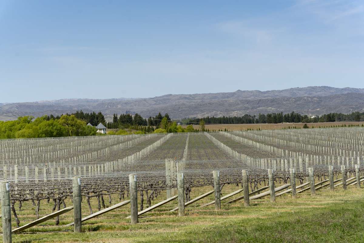 Lot 40 McArthur Road, Mount Dunstan Estates_5