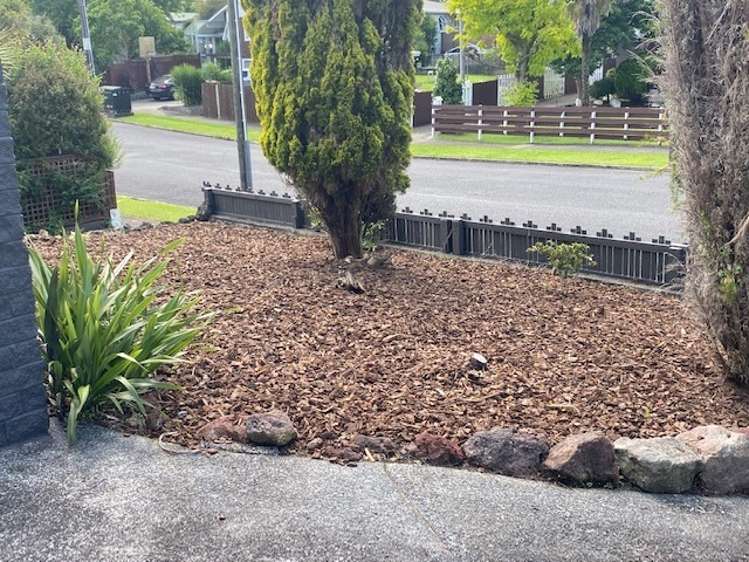 164 Raumanga Valley Road Raumanga_17