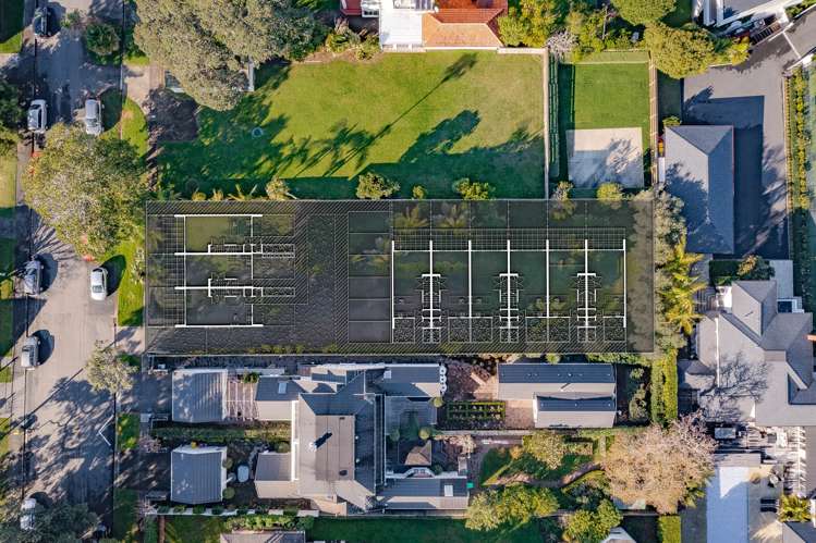 11 Oneills Avenue Takapuna_5