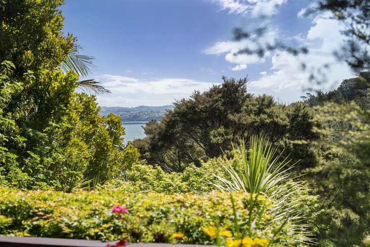 9/7 Balmain Road Birkenhead_6