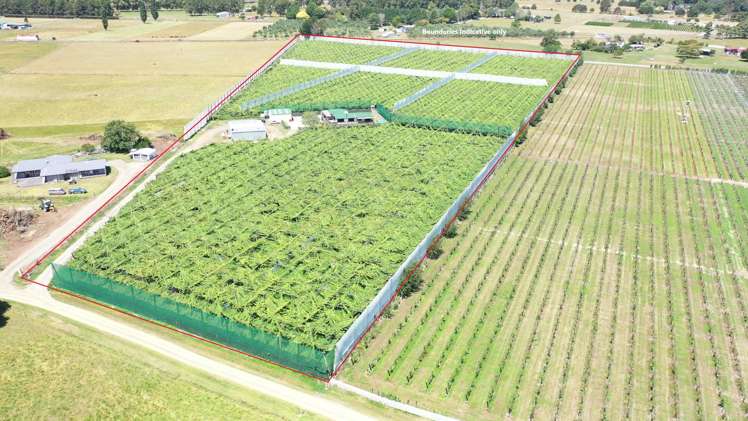 46B Johnson Road Otakiri_2