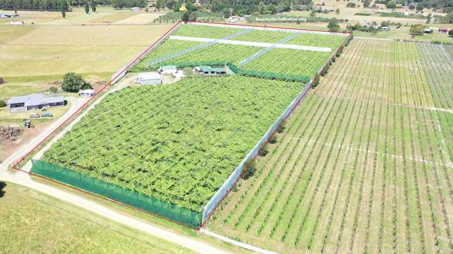 46B Johnson Road Otakiri_2
