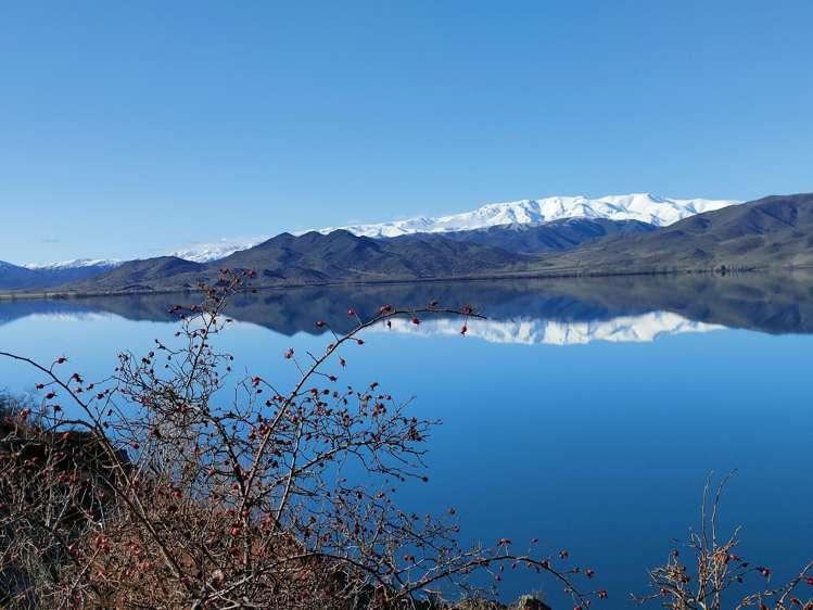 780 Falston Road Totara Peak_42