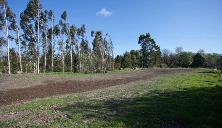 123d Newell Road Tamahere_10