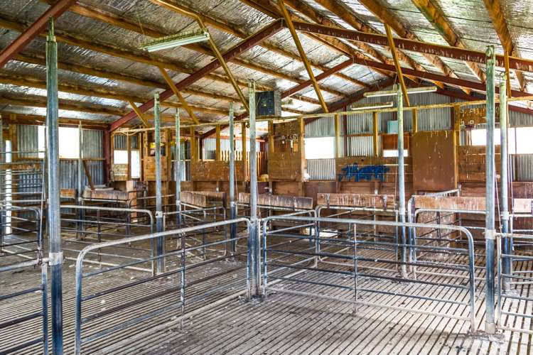 507 Valley Road Woodville_21