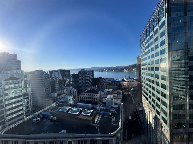 Level 17, 125 The Terrace Wellington Central_5