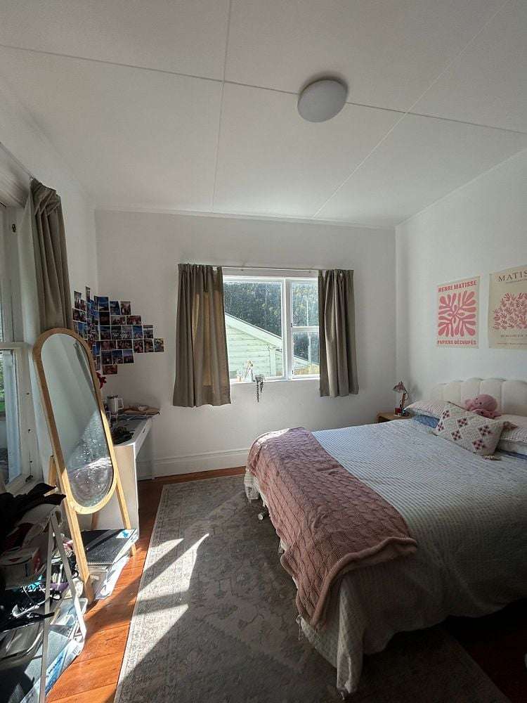 46 Norway Street Aro Valley_23