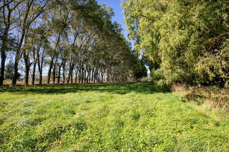 109 Marshalls Road Springston_49