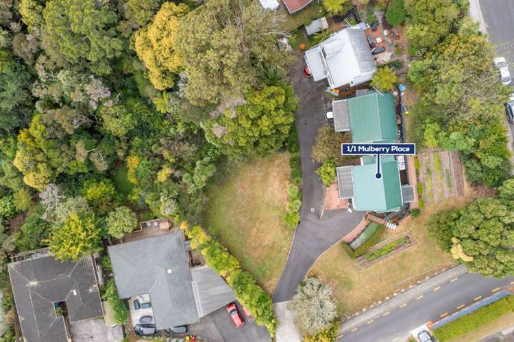 1/1 Mulberry Place Glenfield_11