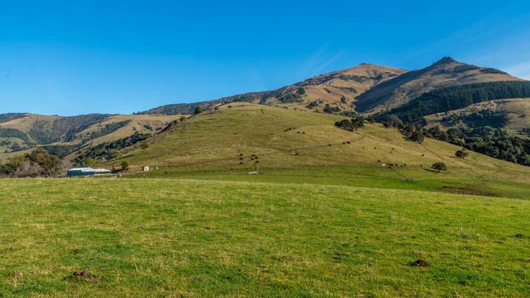 5162 Christchurch Akaroa Road French Farm_32