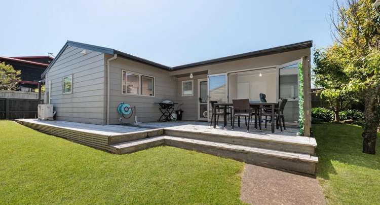 128B Karewa Parade 1131_11