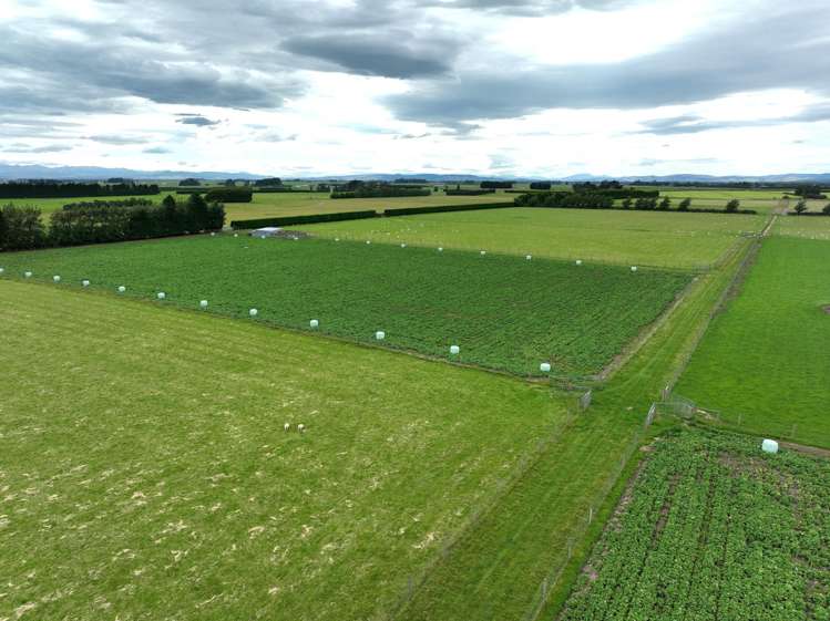 986 Argyle Otahuti Road Winton Surrounds_6