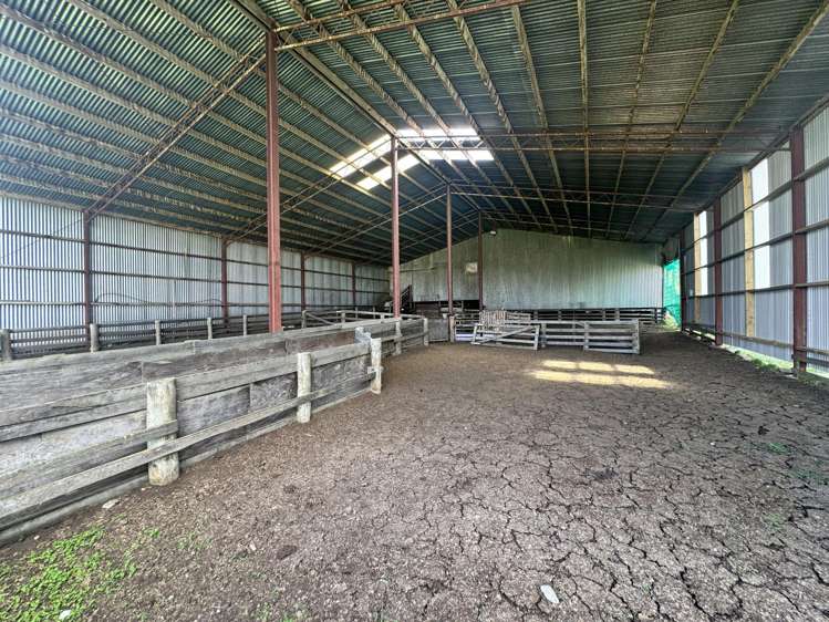 387 Kyeburn-Hyde Road Kyeburn_18