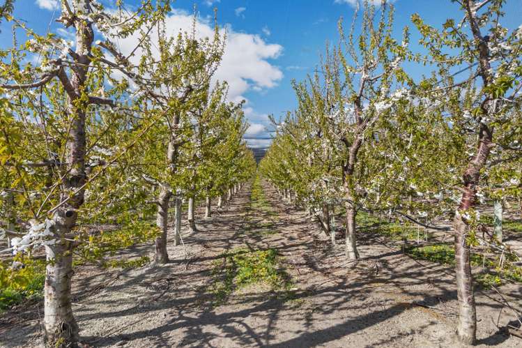 Smiths Way Mount Pisa_1