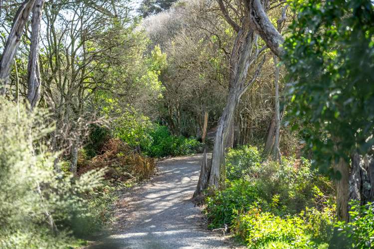 16 Anderson Park Drive Waikanae_8