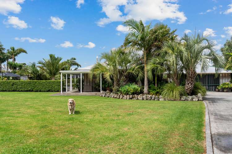 33 Mangapai Caves Road Mangapai and Surrounds_31