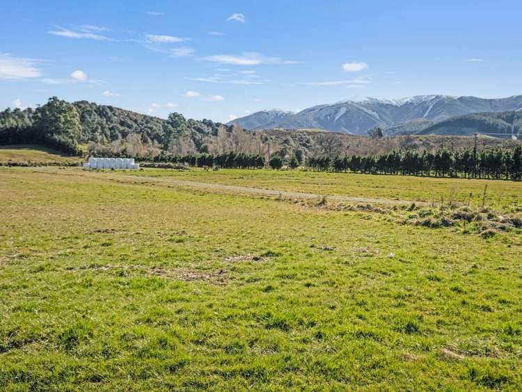 87 Sladdens Bush Road Coopers Creek_10