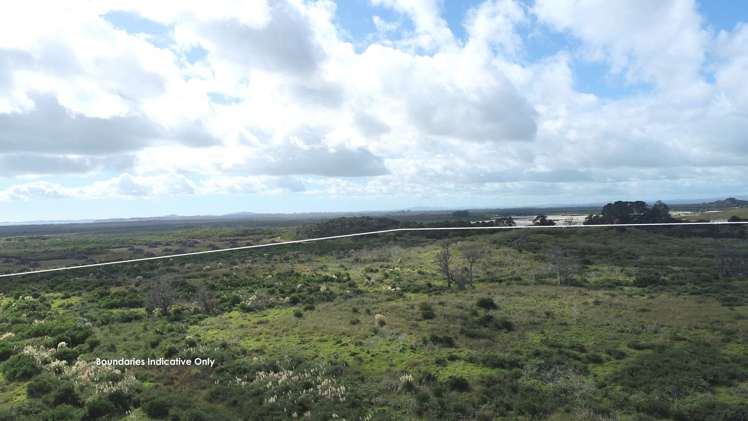 State Highway 1 Waiharara_6