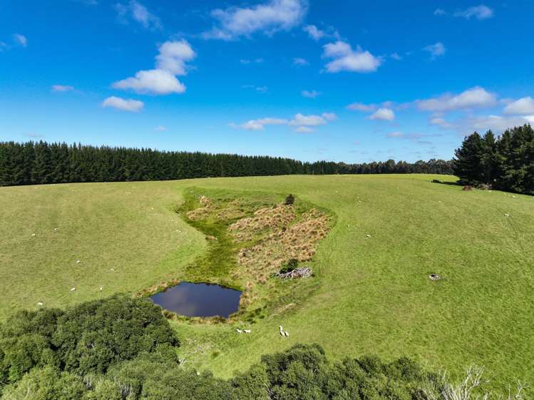 125 Tomogalak Road Ardlussa_6