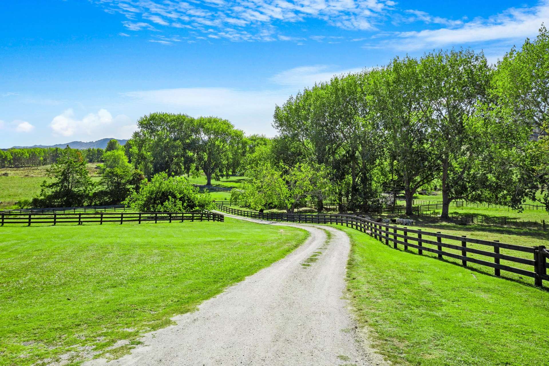 188 Tongue Farm Road Matakana_0