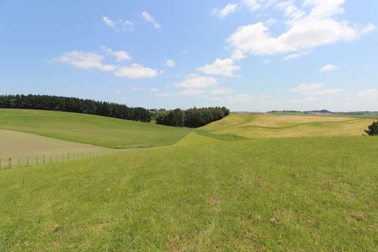 154 Te Rakehou Road Feilding_3