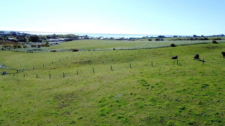 51 John Street Riverton_8