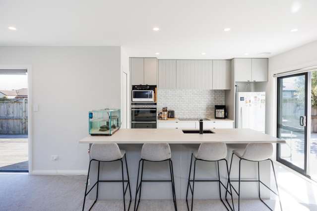 39a Ward Street Palmerston North Central_1