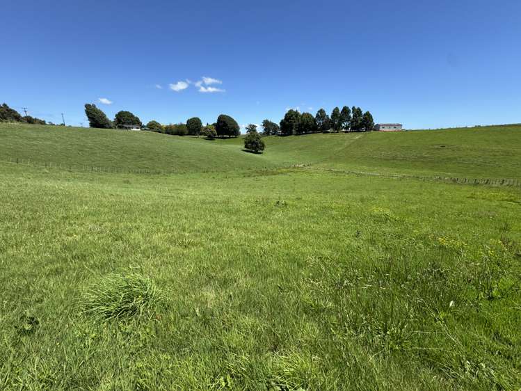 Lot 2 Pokuru Road Rd 3 Te Awamutu_8