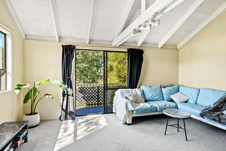 442 Main Road Riwaka Motueka_18