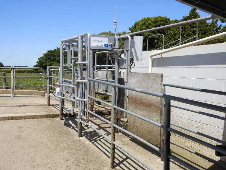 45 Rimu Seaward Downs Road Wyndham Surrounds_6