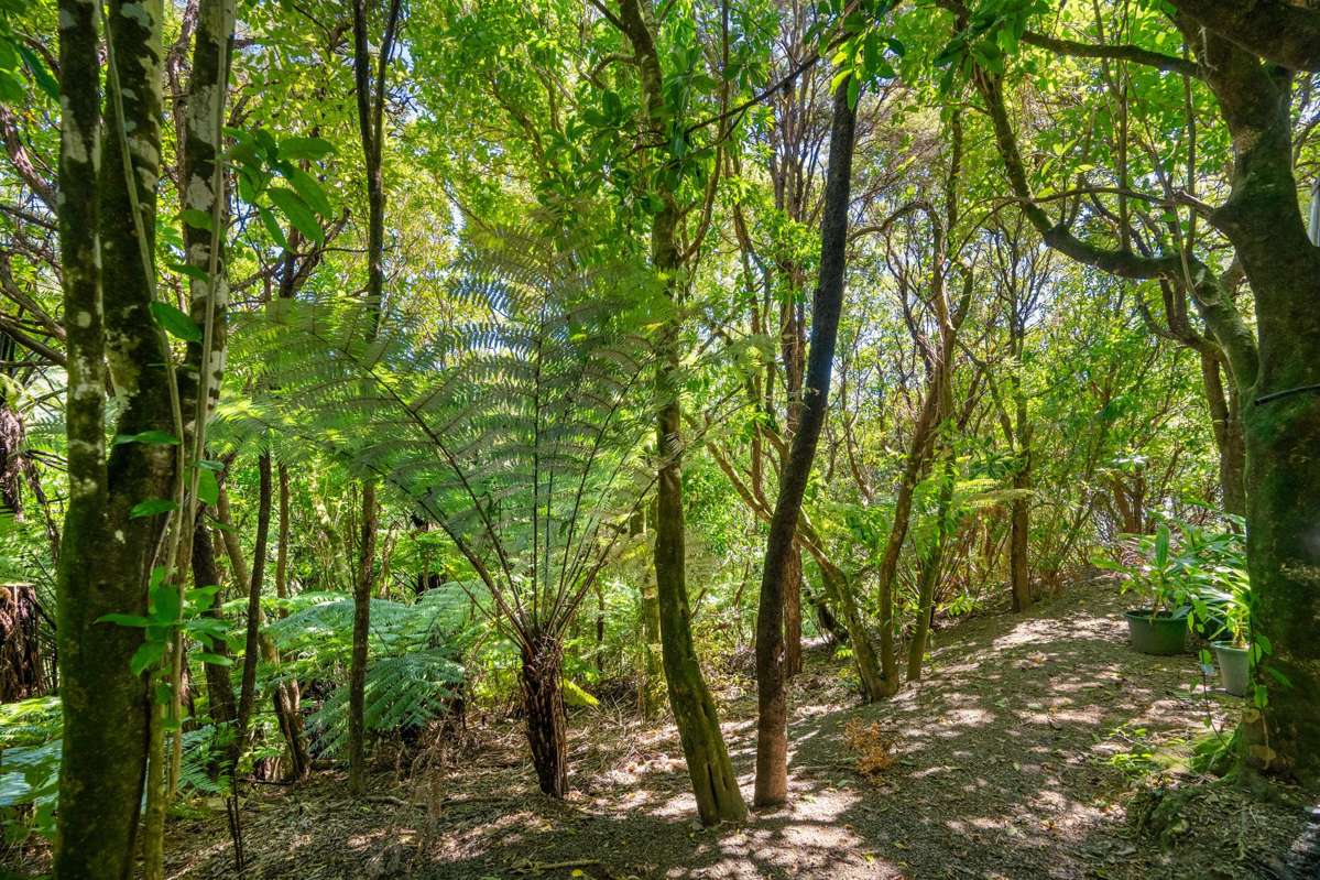 710 Queen Charlotte Drive_5