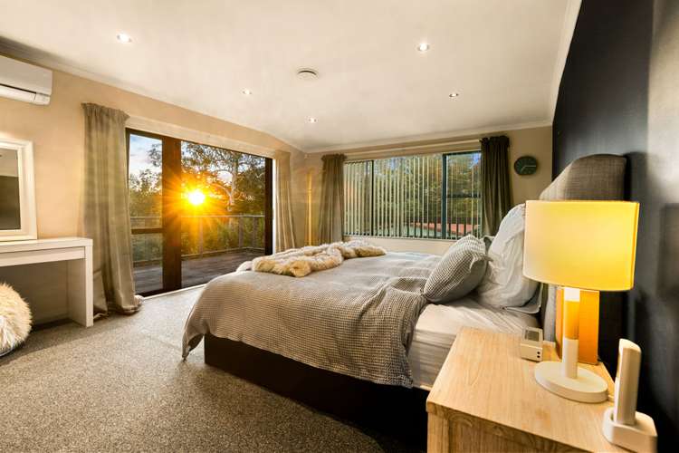 119 Captain Scott Road Glen Eden_11