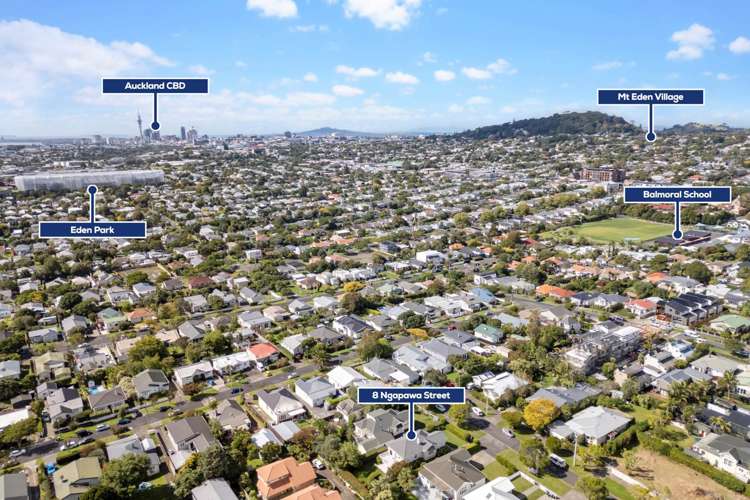 8 Ngapawa Street Sandringham_19