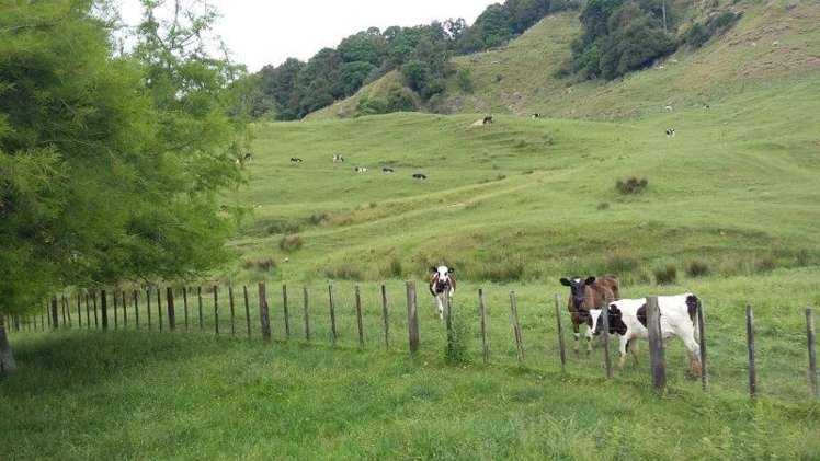 15 Earl Street Te Kuiti_31