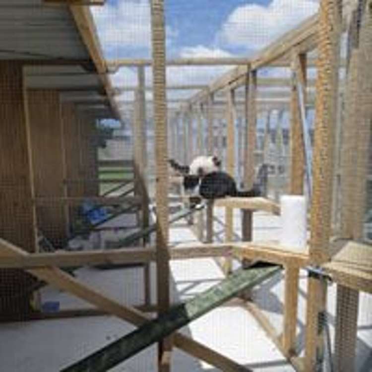 18 Thews Road Tinwald_20