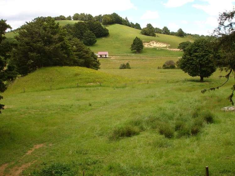 361 Kaiikanui Road Hukerenui and Surrounds_19