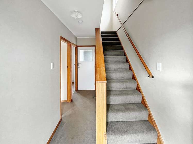 2 Devon Crescent Bulls_4