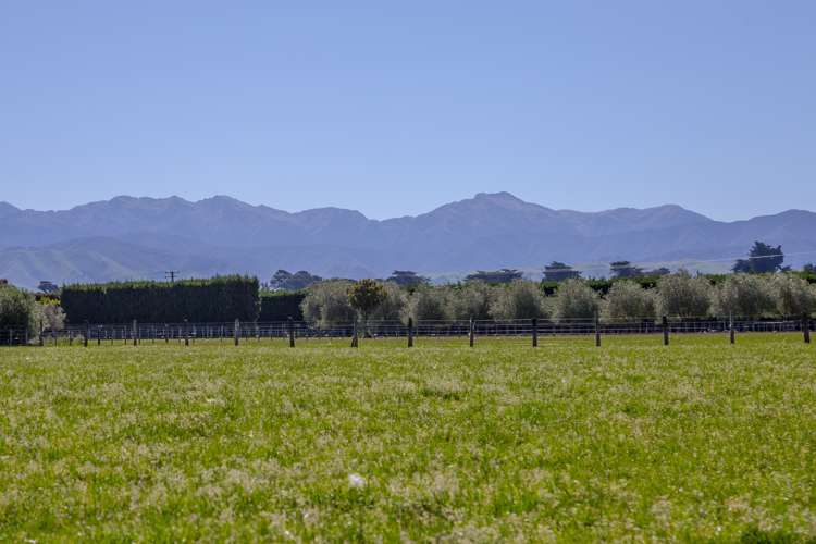 62 Loop Line Opaki_2