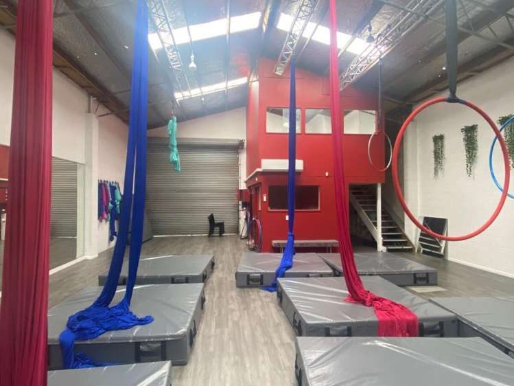 25 Carlyle Street Napier South_5