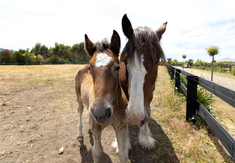 80 Pipitea Drive Rarangi_18