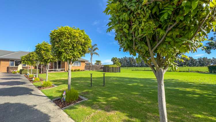 21 Crawford Drive Thames_19