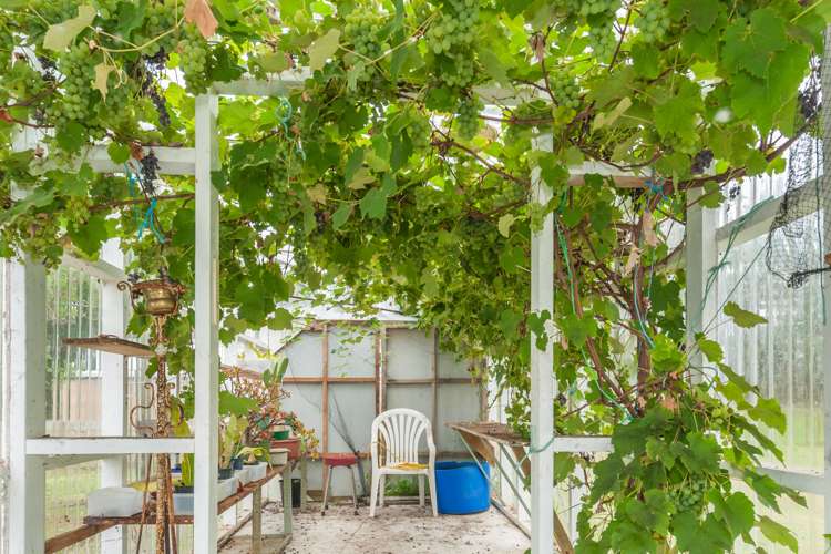 527a Hokio Beach Road Hokio Beach_17