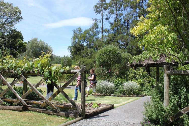 895 State Highway 25 Waitakaruru_22