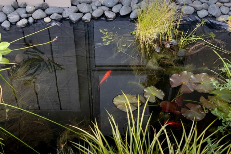 26 Carrington Drive Papamoa_23