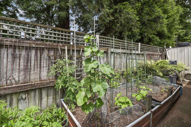 24 Riverholm Drive Mangakakahi_23