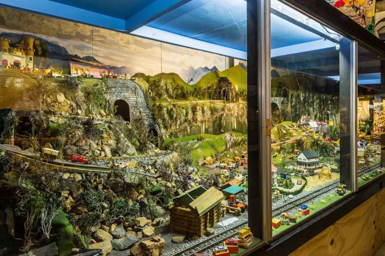 7 Mahood Street Tirau_11