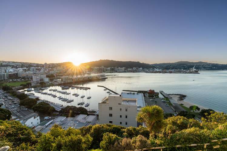 48 McFarlane Street Mount Victoria_13