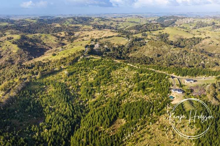 367 Arcadia Road Paparoa_31