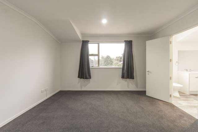 29D Claudelands Road Hamilton East_4