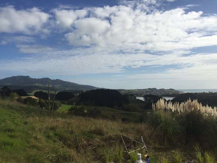 49a Hills Road Raglan_5